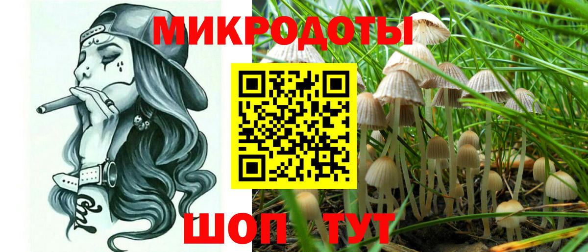 Галлюциногенные грибы Magic Shrooms Кашира