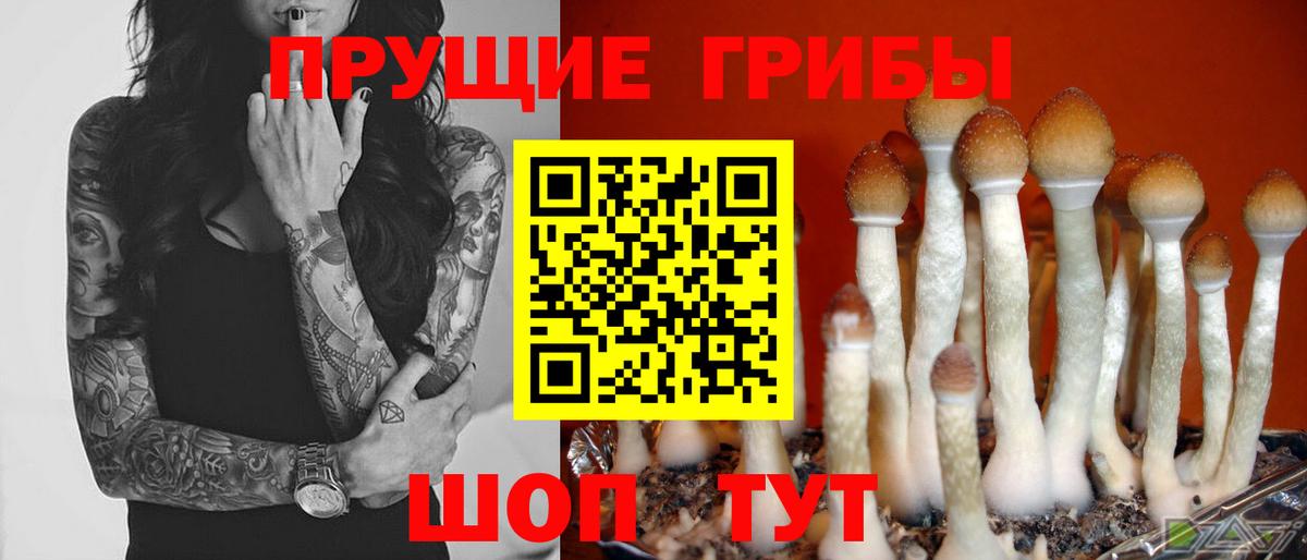 Кашира  Галлюциногенные грибы прущие грибы  Псилоцибиновые грибы Psilocybe  Вход с VPN 